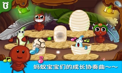 宝宝认蚂蚁[图1]
