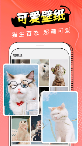 猫翻译器截图2