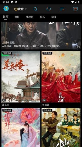 黄金影视截图3