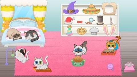 猫咪的生活图2
