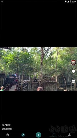 去看看旅行[图2]
