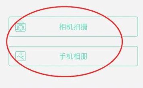 智学网学生端[图9]