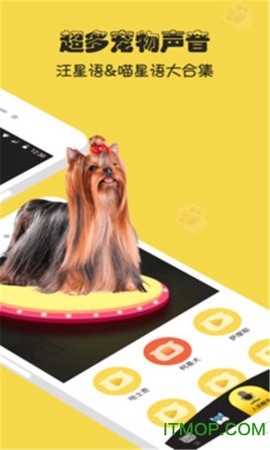 人狗猫交流器图1