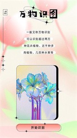 万物识图图3