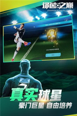 绿茵之巅[图3]