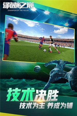 绿茵之巅图2