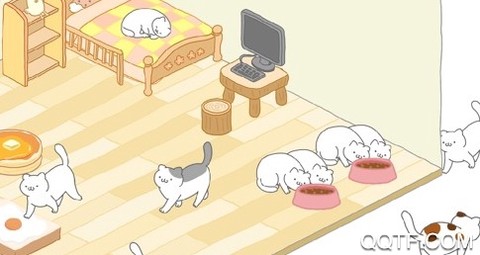 米罗猫咪[图1]