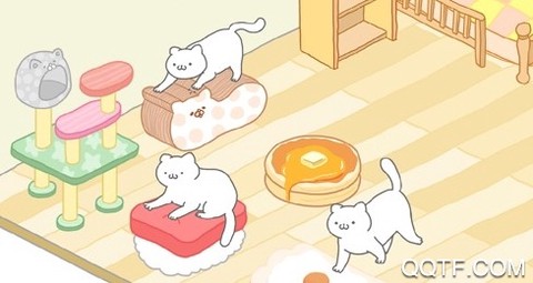 米罗猫咪[图2]