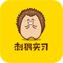 刺猬实习