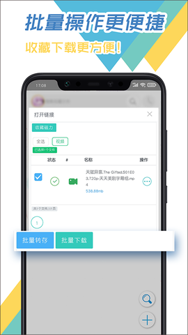 飞鸟下载器截图2