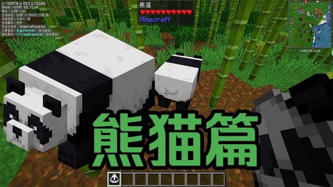 我的世界熊猫吃什么