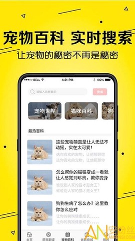 宠物狗猫交流器[图1]