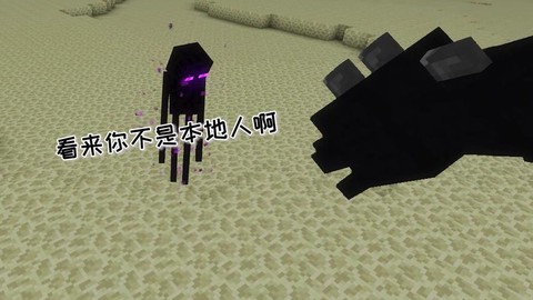 我的世界末影龙怕什么