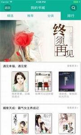 爱爱小说最新版截图1