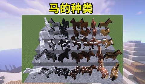 我的世界怎么找极品马[图1]