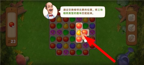 梦幻花园[图2]