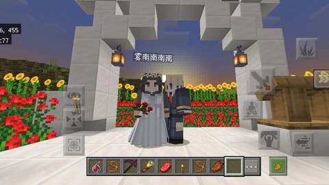 在我的世界中怎么结婚[图2]