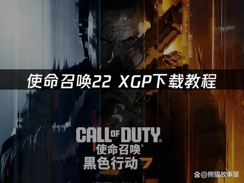 使命召唤游戏怎么下载[图2]
