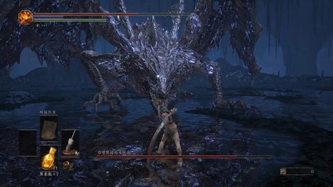 黑魂3黑龙魂换什么[图1]