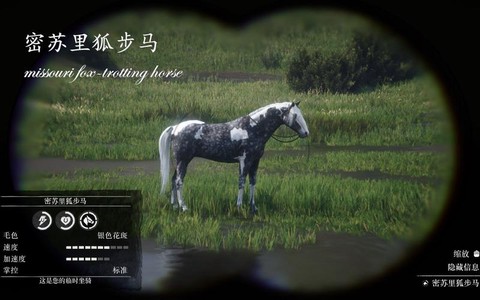 荒野大镖客2什么马最好