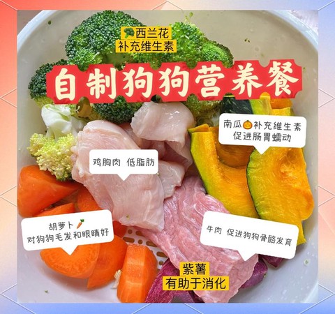 在迷你世界中狗吃什么[图2]