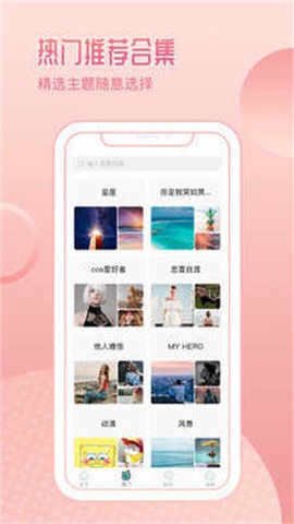 鹦鹉壁纸图3