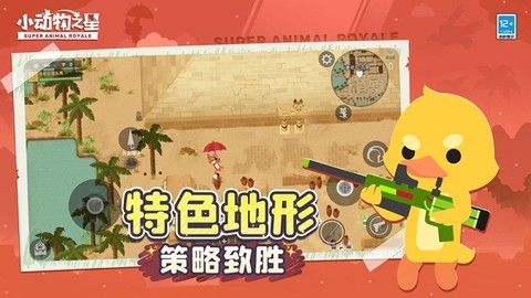 小动物之星[图1]