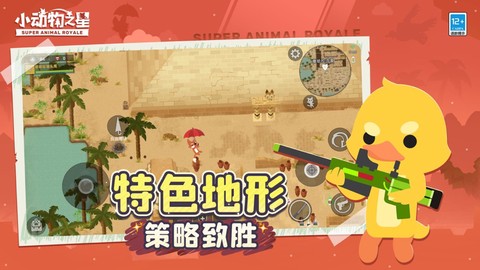 小动物之星图3