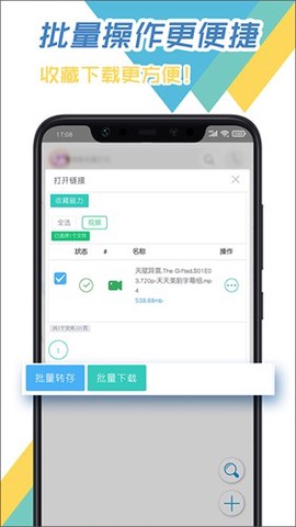 飞鸟下载器图2