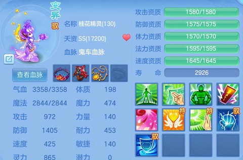 神武65带什么bb