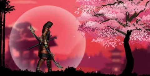 武士大冒险：杀死忍者图2