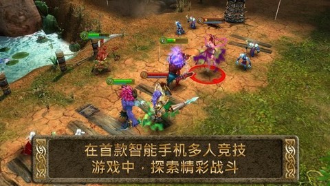 混沌与秩序之英雄战歌图1