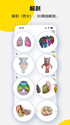 3dbody解剖app图3