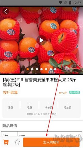 果速送[图4]