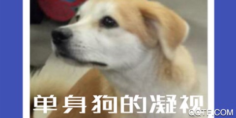 图片加文字[图1]