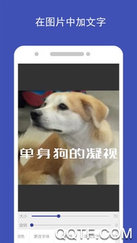 图片加文字[图4]