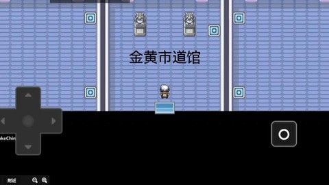 口袋妖怪白金光垂暮市道馆怎么走[图2]