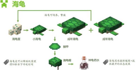 我的世界海龟壳怎么弄[图1]