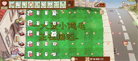 小白大战小鸡毛[图5]