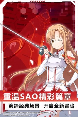 刀剑神域黑衣剑士：王牌[图1]