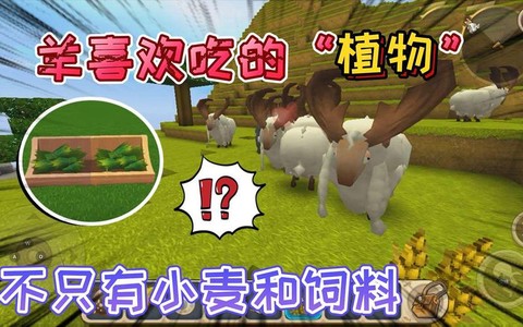 新版迷你世界羊吃什么[图2]