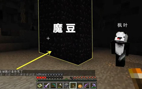 我的世界魔豆有什么用[图1]