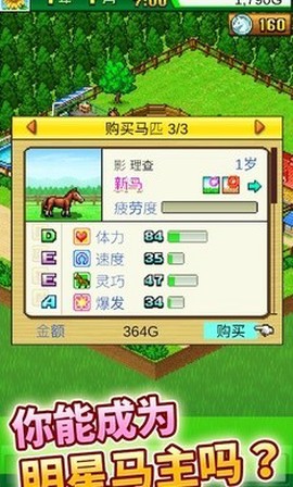 赛马牧场物语图2