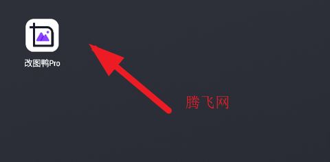改图鸭Pro[图2]