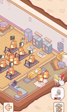 猫咪健身房[图2]