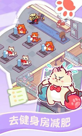 猫咪健身房图1
