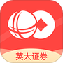 英大金点