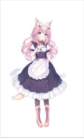 猫娘乐园2图3