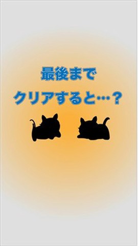 猫咪不见了图3