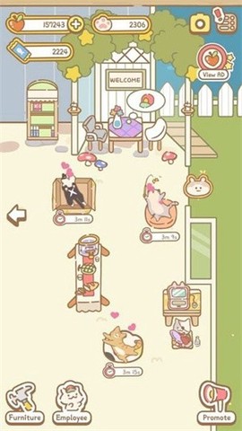 猫咪温泉图2